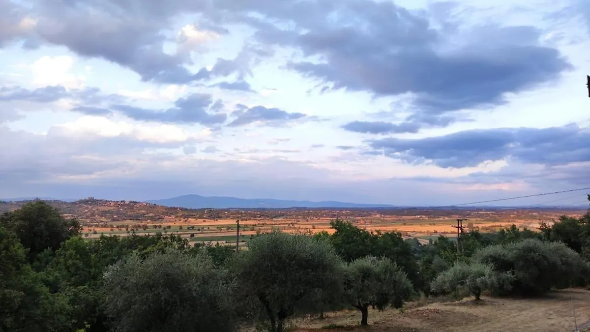 Happy Tuscany Rigomagno Holiday home